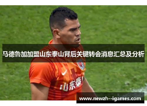 马德鲁加加盟山东泰山背后关键转会消息汇总及分析